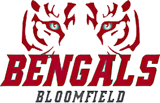 Basketball program logo 10