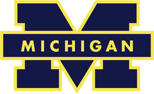 Basketball program logo 4