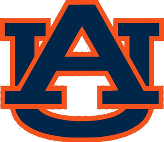Basketball program logo 6